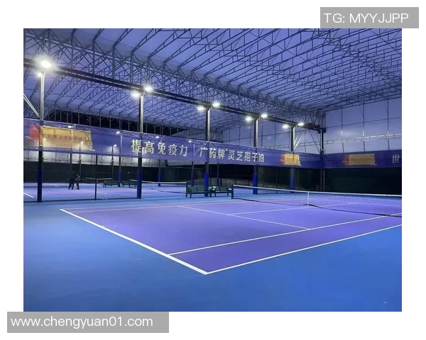 广州网球队重塑辉煌之路的反击革新与未来展望